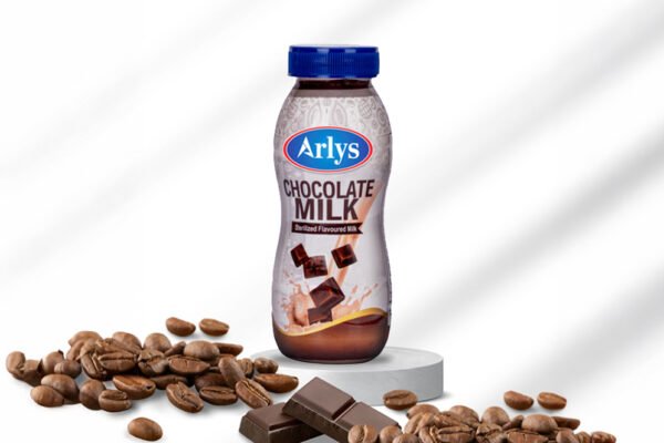 Arlys Chocolate Milk (150 ml)