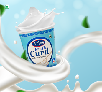 Arlys Fresh Dahi cup 380 GM