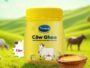 Large yellow jar of Arvind Cow Ghee on a sunny green field, with a wooden bowl of ghee in front and cows in the background