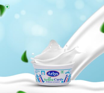 Arlys Dahi cup 80GM 24pcs