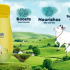 From Farm to Table: Discover the Power of Arvind Pure Cow Ghee